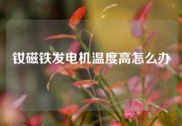 钕磁铁发电机温度高怎么办