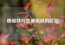 铷磁铁与普通磁铁的区别