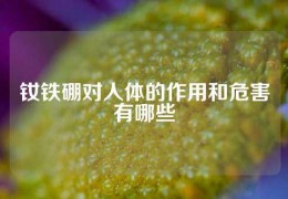 钕铁硼对人体的作用和危害有哪些