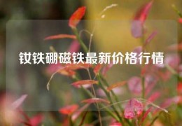 钕铁硼磁铁最新价格行情