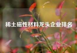 稀土磁性材料龙头企业排名