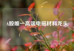 A股唯一高端电磁材料龙头