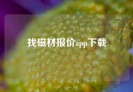 找磁材报价app下载