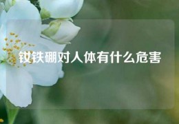 钕铁硼对人体有什么危害