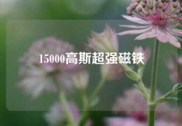 15000高斯超强磁铁