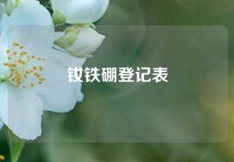 钕铁硼登记表