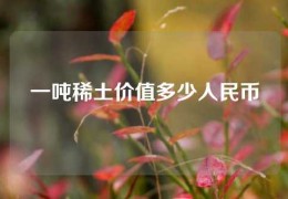 一吨稀土价值多少人民币