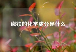 磁铁的化学成分是什么