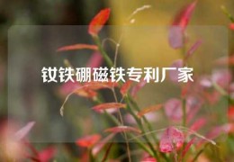 钕铁硼磁铁专利厂家