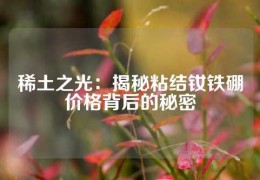 稀土之光：揭秘粘结钕铁硼价格背后的秘密