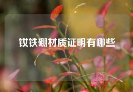 钕铁硼材质证明有哪些