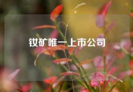 钕矿唯一上市公司