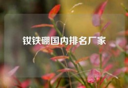 钕铁硼国内排名厂家