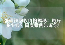 强磁铁回收价格揭秘：每斤多少钱？真实案例告诉你！