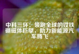 中科三环：领跑全球的钕铁硼磁体巨擘，助力新能源汽车腾飞