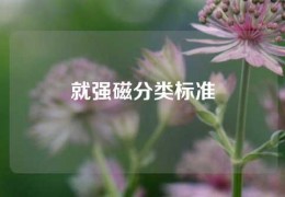 就强磁分类标准