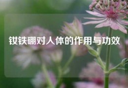 钕铁硼对人体的作用与功效