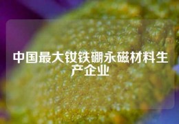 中国最大钕铁硼永磁材料生产企业