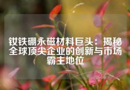 钕铁硼永磁材料巨头：揭秘全球顶尖企业的创新与市场霸主地位