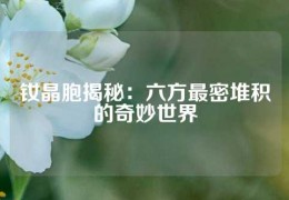 钕晶胞揭秘：六方最密堆积的奇妙世界