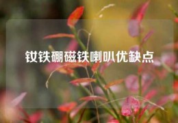 钕铁硼磁铁喇叭优缺点