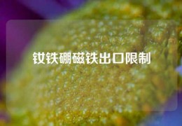 钕铁硼磁铁出口限制