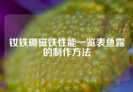 钕铁硼磁铁性能一览表鱼露的制作方法