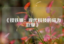 《钕铁硼：现代科技的磁力巨擘》