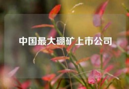 中国最大硼矿上市公司