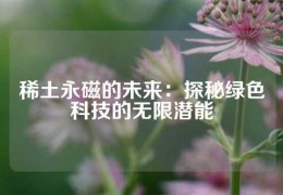 稀土永磁的未来：探秘绿色科技的无限潜能