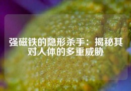 强磁铁的隐形杀手：揭秘其对人体的多重威胁