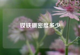 钕铁硼密度多少