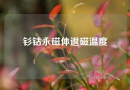 钐钴永磁体退磁温度