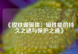 《钕铁硼磁体：磁性能的持久之谜与保护之道》