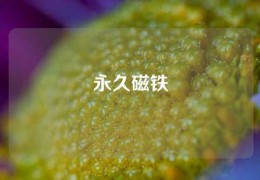 永久磁铁