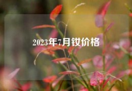 2023年7月钕价格