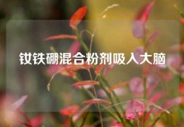 钕铁硼混合粉剂吸入大脑