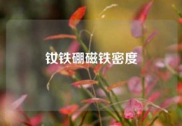 钕铁硼磁铁密度