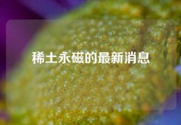 稀土永磁的最新消息