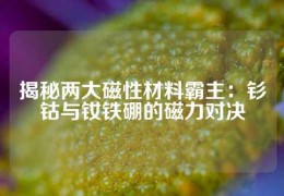 揭秘两大磁性材料霸主：钐钴与钕铁硼的磁力对决