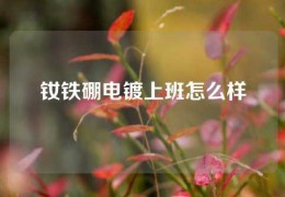 钕铁硼电镀上班怎么样