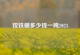 钕铁硼多少钱一吨2023