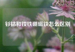 钐钴和钕铁硼磁铁怎么区别