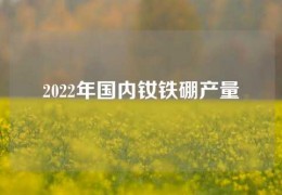 2022年国内钕铁硼产量