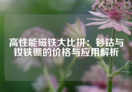 高性能磁铁大比拼：钐钴与钕铁硼的价格与应用解析