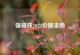 强磁铁2023价格走势