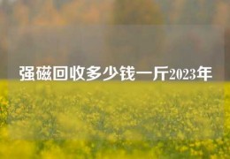 强磁回收多少钱一斤2023年