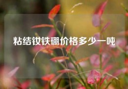 粘结钕铁硼价格多少一吨