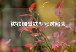 钕铁硼磁铁型号对照表