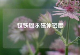 钕铁硼永磁体密度